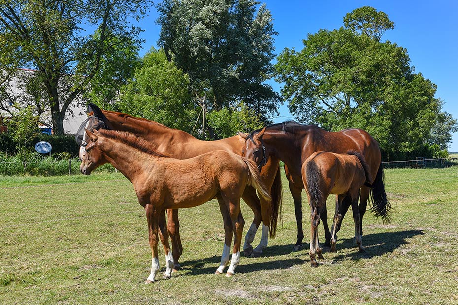 Foto aus der Fotogruppe 