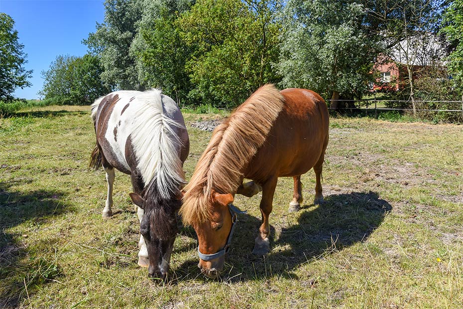 Foto aus der Fotogruppe 